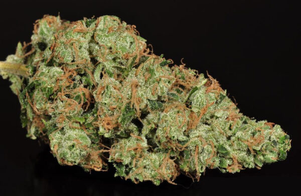 Buy Sour Diesel Online